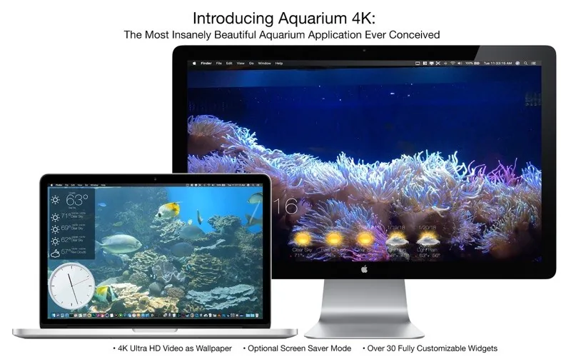 Aquarium 4K – Live Wallpaper 3.0 full crack for Mac download — Screenshots 1