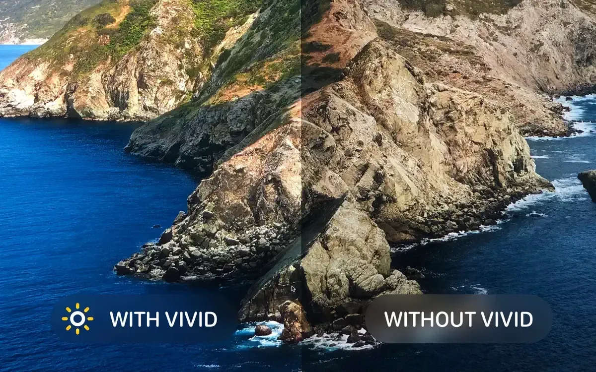 Vivid v8.9.2 full Crack for Mac Download — Screenshots 1