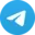 Telegram Desktop icon