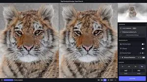 Topaz Photo Pro v1.0.1 Cracked for MacOs Download — Screenshots 1