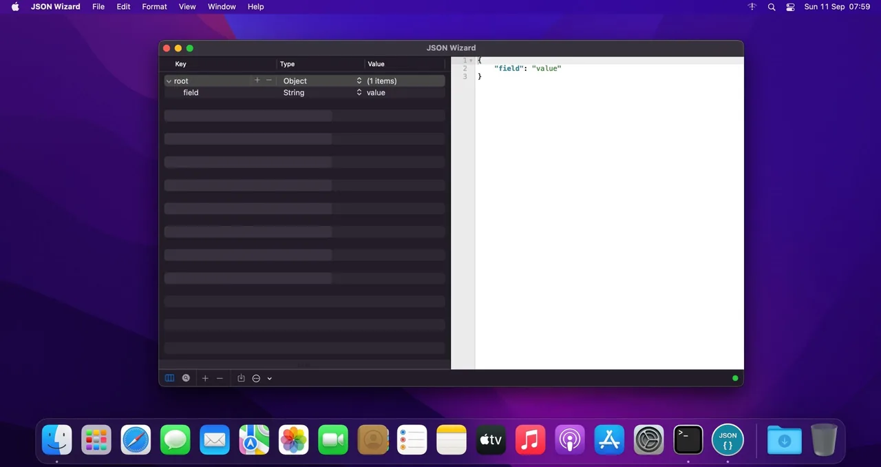 JSON Wizard 2.6.1full crack for Mac Download — Screenshots 1