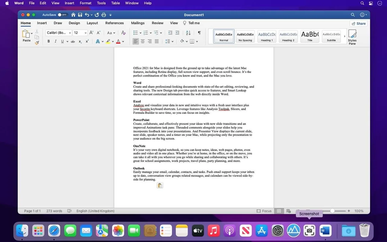 Microsoft Office LTSC Standard for Mac 2024 v16.101cracked for MacOs Download — Screenshots 1