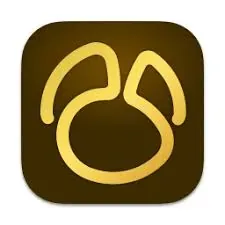 Navicat Premium V17.3.6 full Crack for Mac Download icon