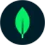 Realm Studio icon