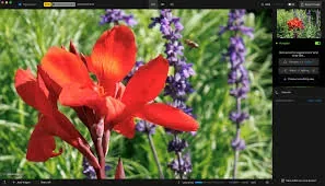 Topaz Photo Pro v1.0.1 Cracked for MacOs Download
