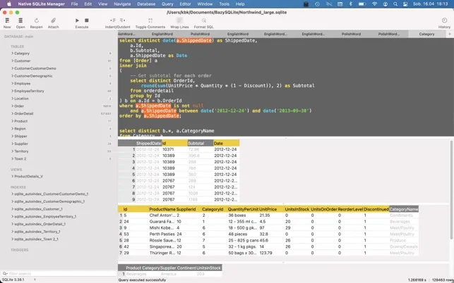 Native SQLite Manager 1.31 cracked for MacOs Download — Screenshots 1